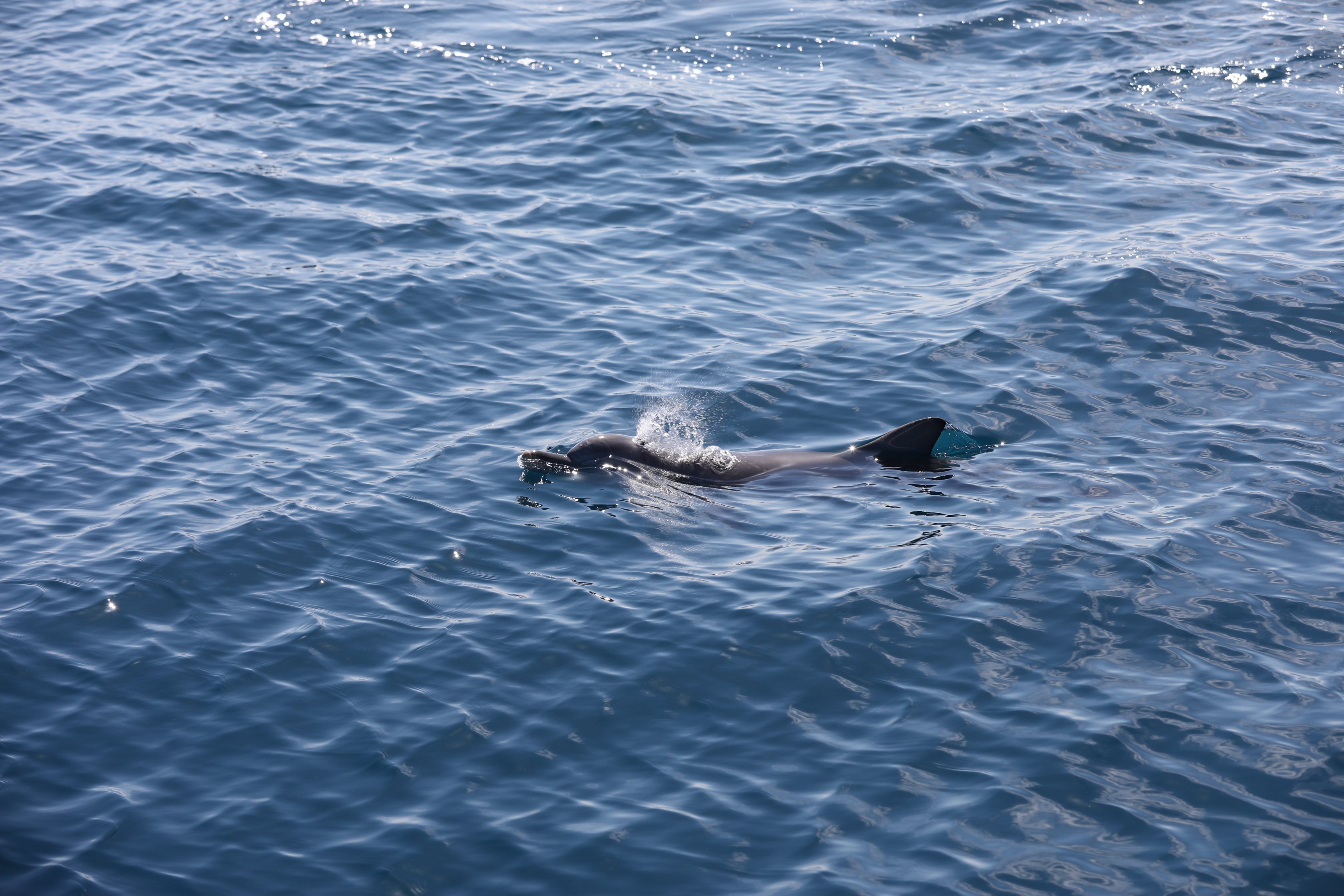 2019 12 07 09 44 41 Canon EOS 5D Mark IV 0023